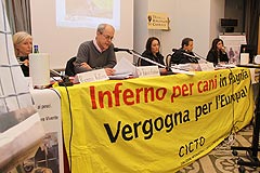 Pressekonferenz 4. März  2010 zu Hundehölle in Apulien
